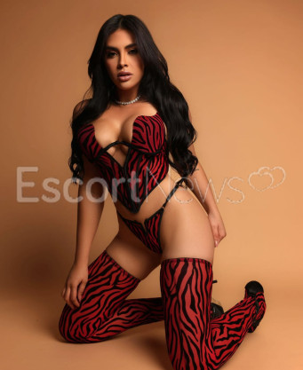 Photo escort girl JADE VIP: the best escort service