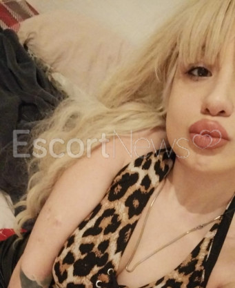 Photo escort girl cemre: the best escort service